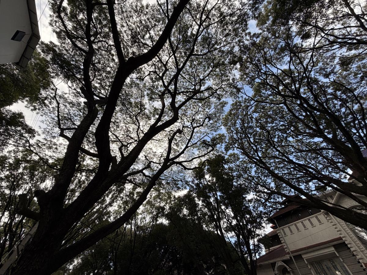 आयफोन 17 वर शूट केले