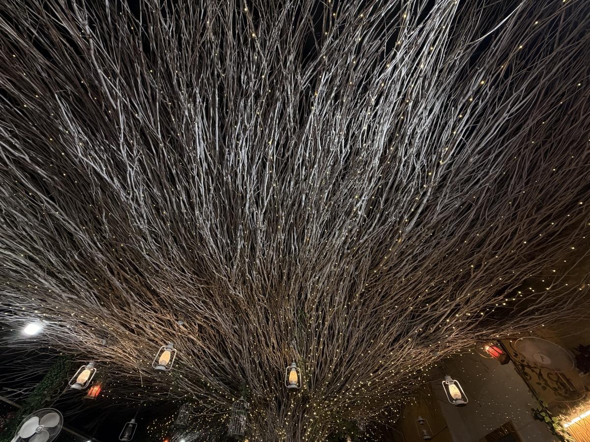 आयफोन 17 वर शूट केले