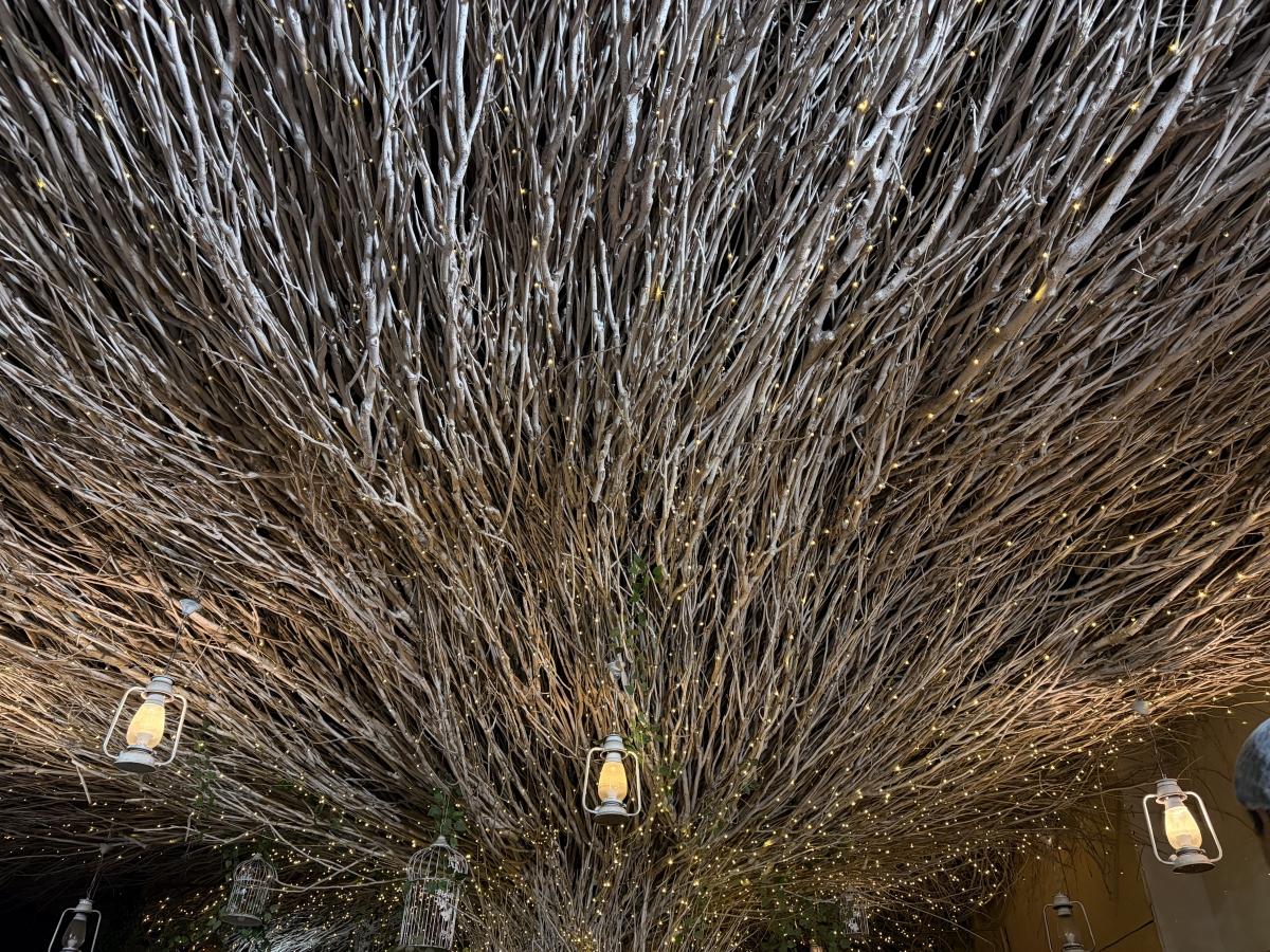 आयफोन 17 वर शूट केले