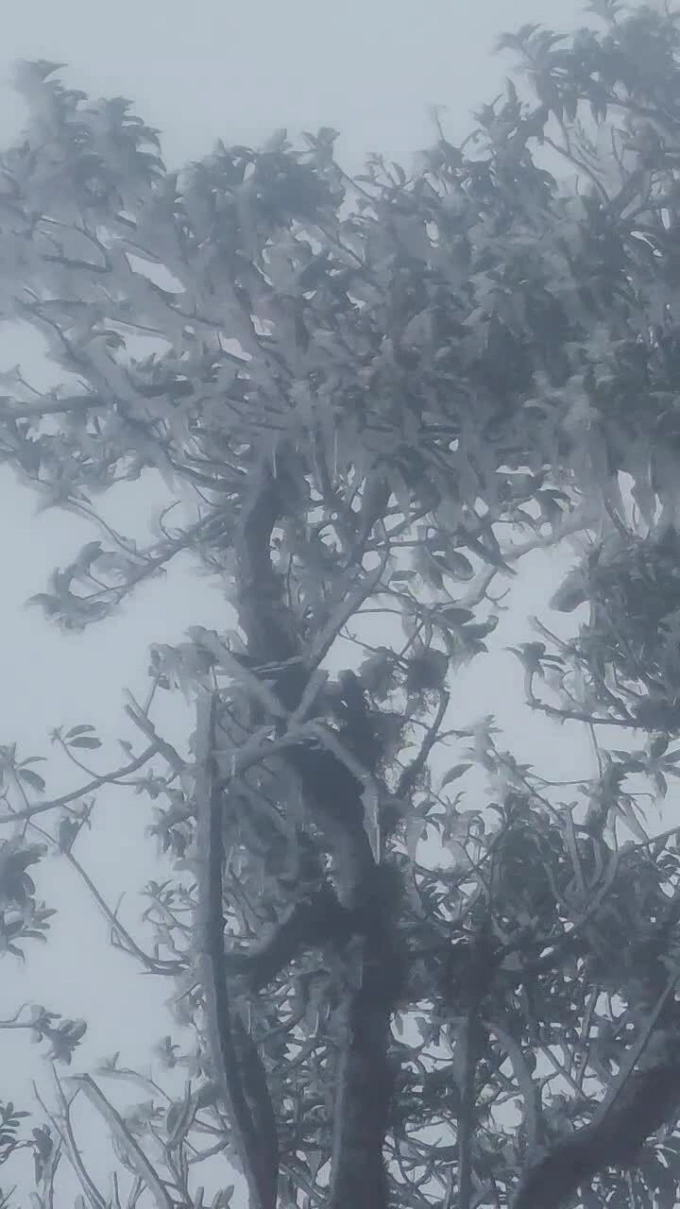 टा जुआ शिखरावर बर्फ आणि बर्फ दिसतो