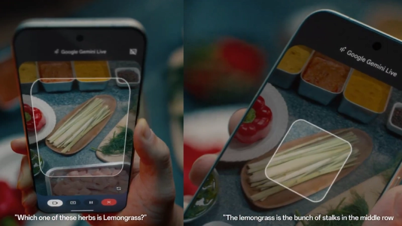 आपल्याकडे हाडांचा रंग आहे रंग 16