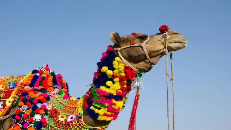 असे मानले जाते की ते पापांना शुद्ध करते आणि चांगले भाग्य आणते.