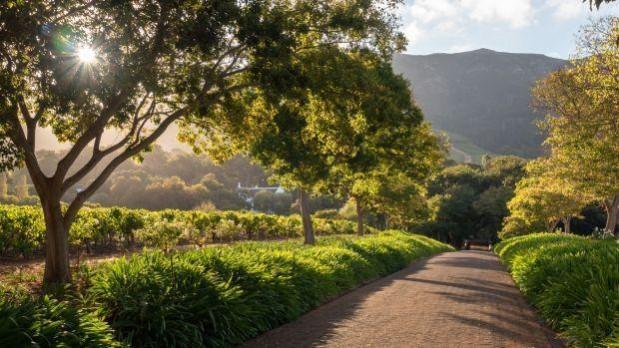 क्लेन कॉन्स्टँटिया - वेस्टर्न केप, दक्षिण आफ्रिका