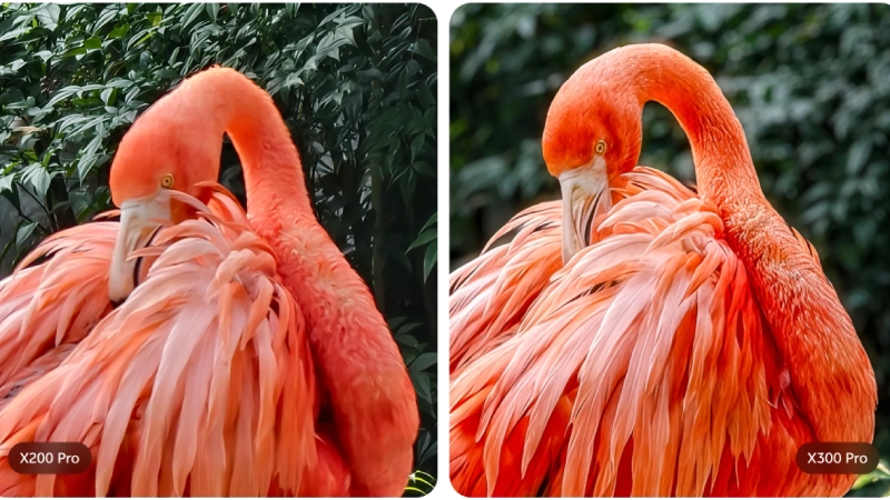 Vivo x300 कॅमेरा Vivo X300 Pro कॅमेरा गुणवत्ता