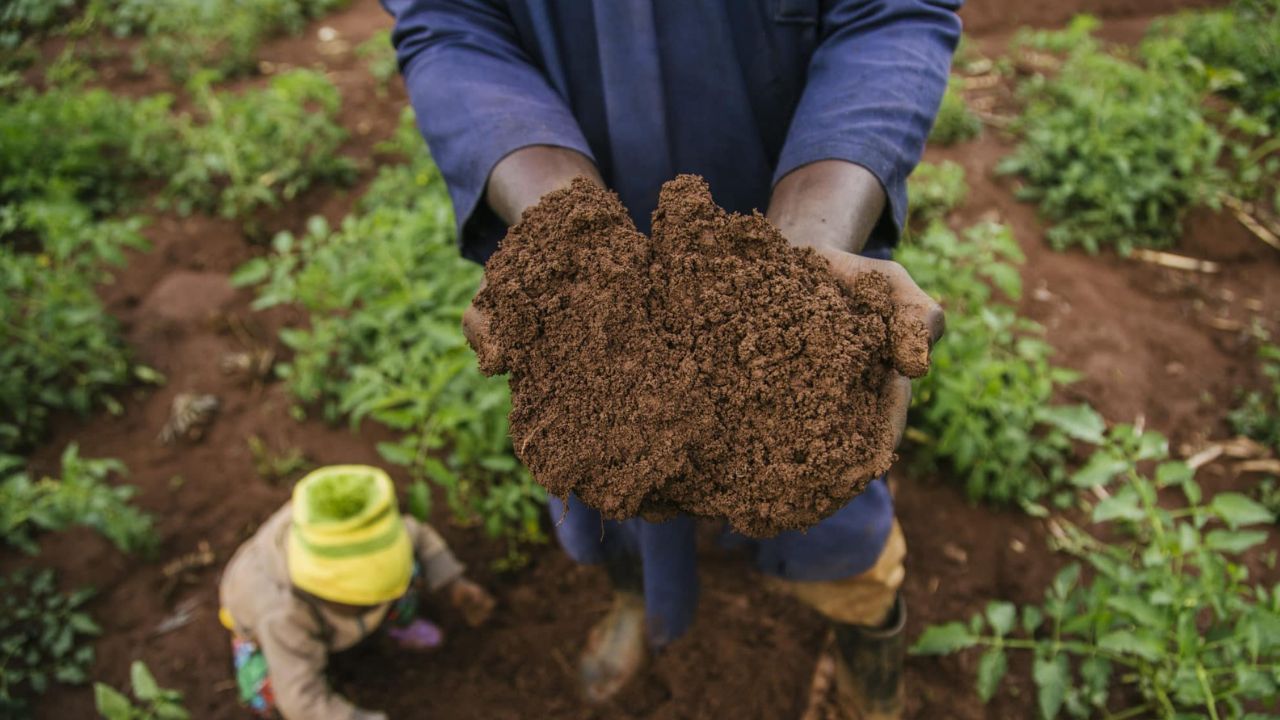 मातीचे अस्तित्व टिकवणे गरजेचे आहे