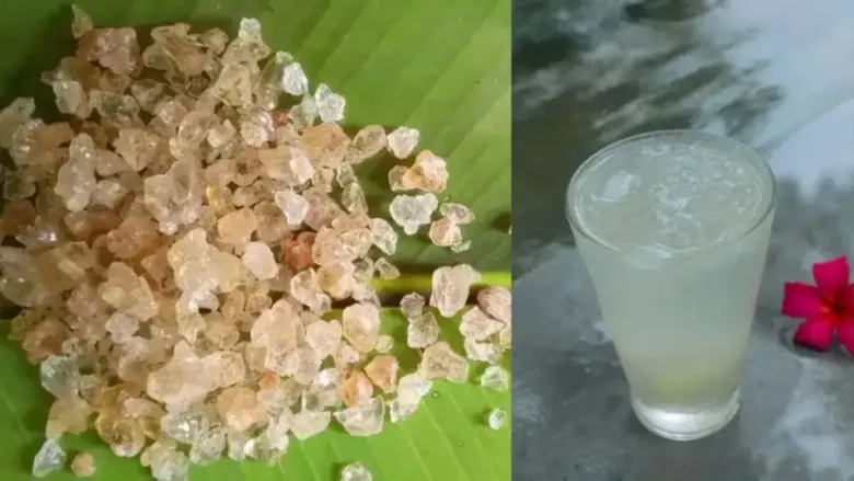 कटिराची काळजी घ्या