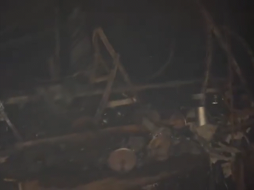 आगीमुळे क्लबमध्ये ठेवलेले सर्व सामान जळून खाक झाले.