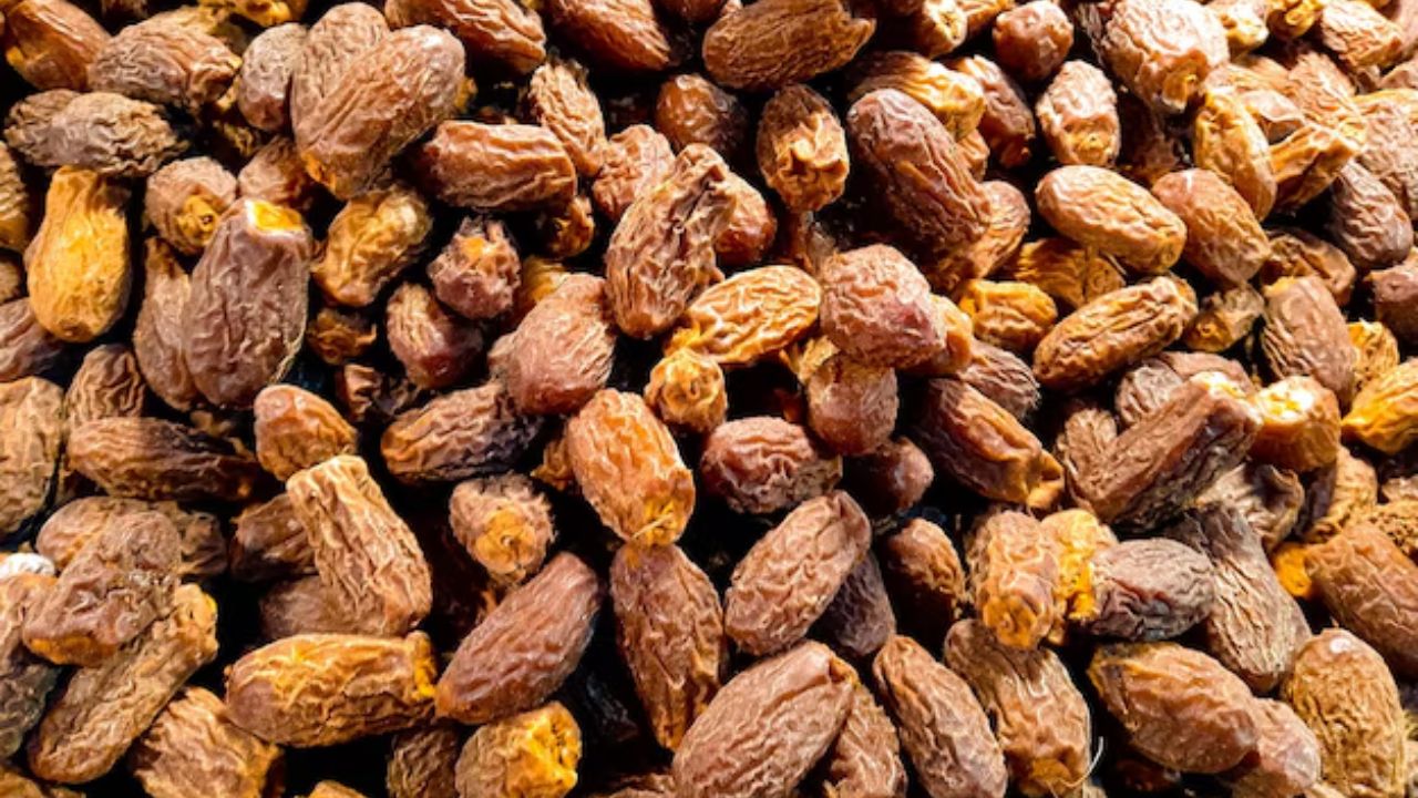 कोरड्या तारखा