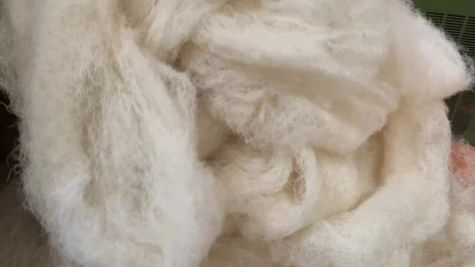 मेकॅट्रॉनिक्स अभियंत्याचे 'कचरा रेशमात' बदलण्याची 5 वर्षे