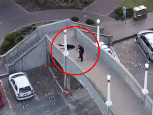 पुलावरून गोळीबार करणाऱ्या दोन्ही दहशतवाद्यांना पोलिसांनी गोळ्या घातल्या. एका दहशतवाद्याला आधीच गोळ्या घालण्यात आल्या होत्या. फुटेजमध्ये दुसरा दहशतवादी गोळी झाडल्यानंतर खाली पडताना दिसत आहे.