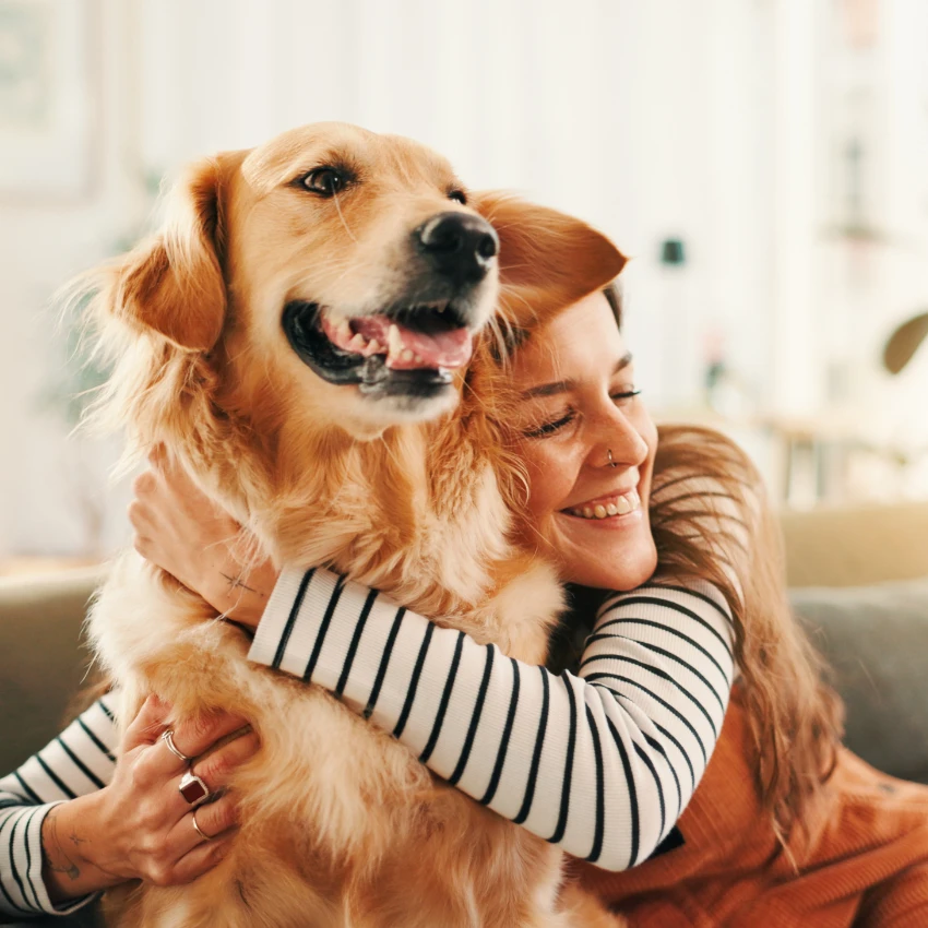 पाळीव प्राण्यांचे मालमत्ता म्हणून वर्गीकरण केल्याने करदात्यांना अवाजवी भार पडतो