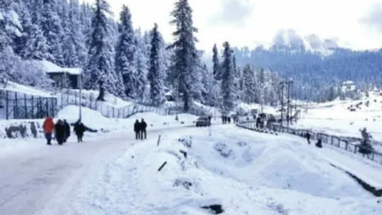 कस्तुरीला मारणे (४४)