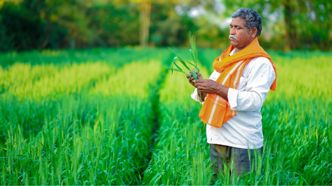 शेतकरी योजना अपडेट