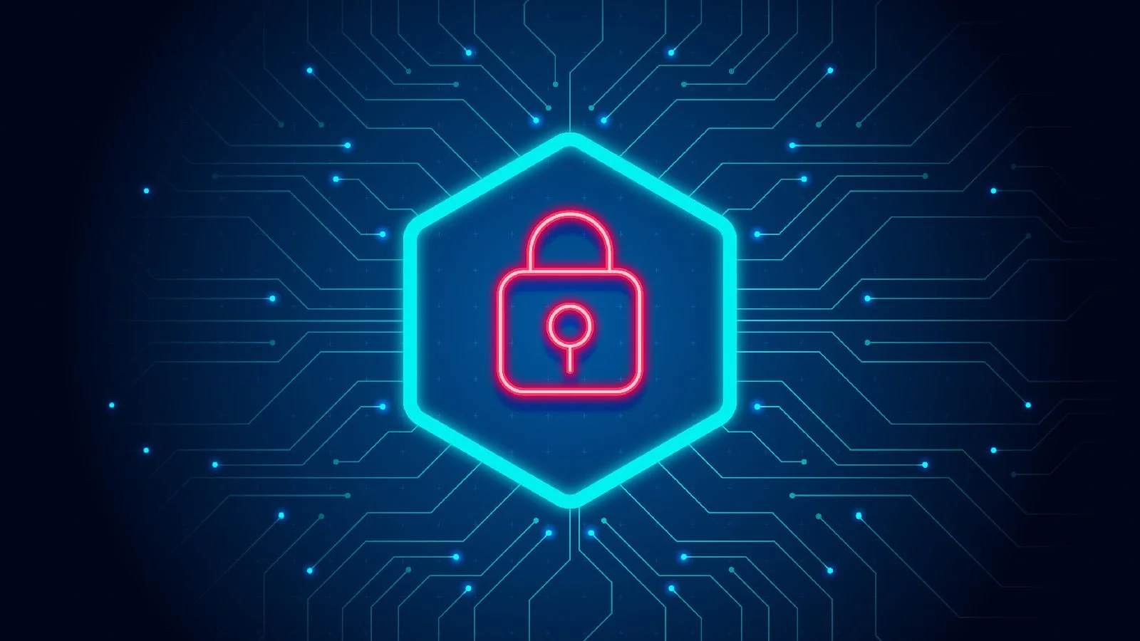 डेटा संरक्षण