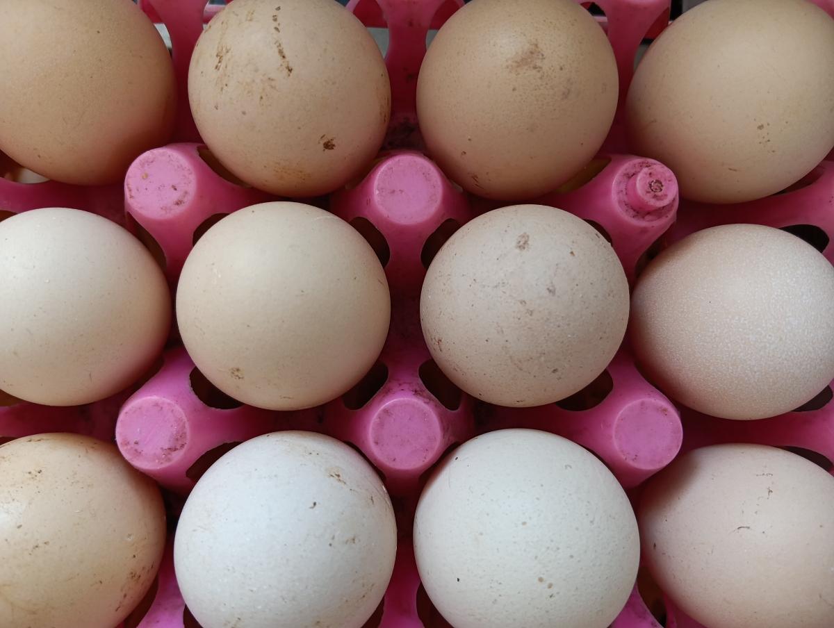 Redmi 15C वर शॉट