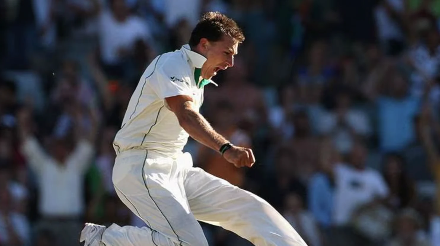 डेल स्टेन