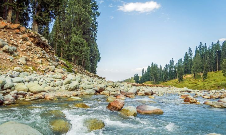 यात हे असू शकते: बाजूला असलेल्या काही झाडांच्या शेजारी खडक असलेली नदी आणि त्यातून पाणी वाहते