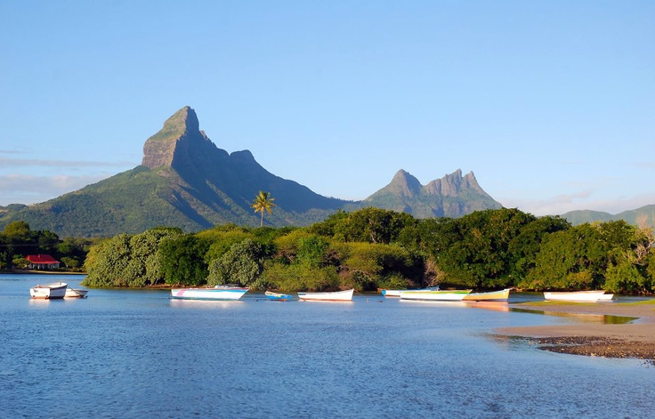 यात हे असू शकते: काही पर्वत आणि किनाऱ्यावरील झाडांजवळ पाण्यात अनेक लहान बोटी आहेत