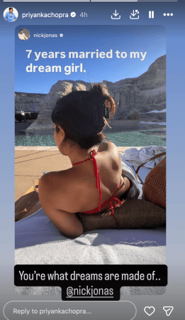 'माझ्या ड्रीम गर्लशी 7 वर्षे लग्न केले': निक जोनासने सेक्सी प्रियांका चोप्रासाठी रोमँटिक नोट टाकली, त्यांच्या वर्धापनदिनाच्या सुट्टीतील प्रेमाचा फोटो डंप शेअर केला