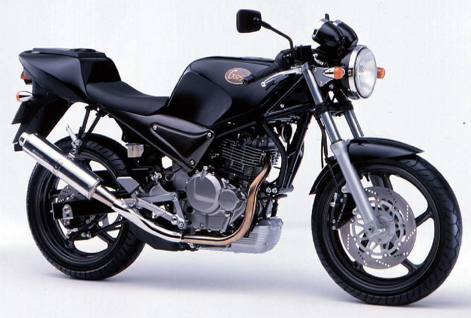 Suzuki SG 250N Goose (1991) तांत्रिक वैशिष्ट्ये