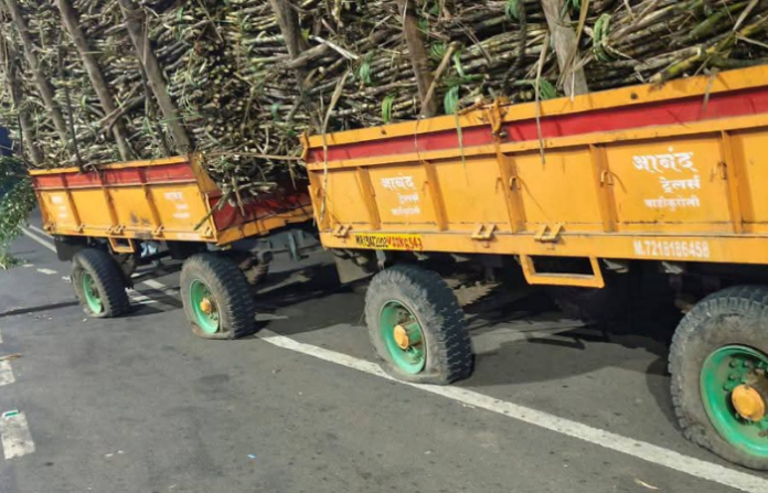 Untitled design (98)