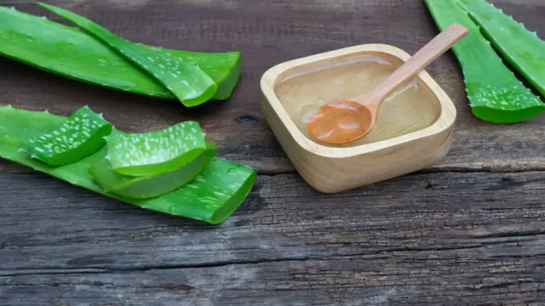 कोरफडीची पाने लाकडी टेबलावर ठेवतात, त्यांच्या बाजूला कोरफड व्हेरा जेलचा एक लाकडी वाडगा आणि एक चमचा असतो.