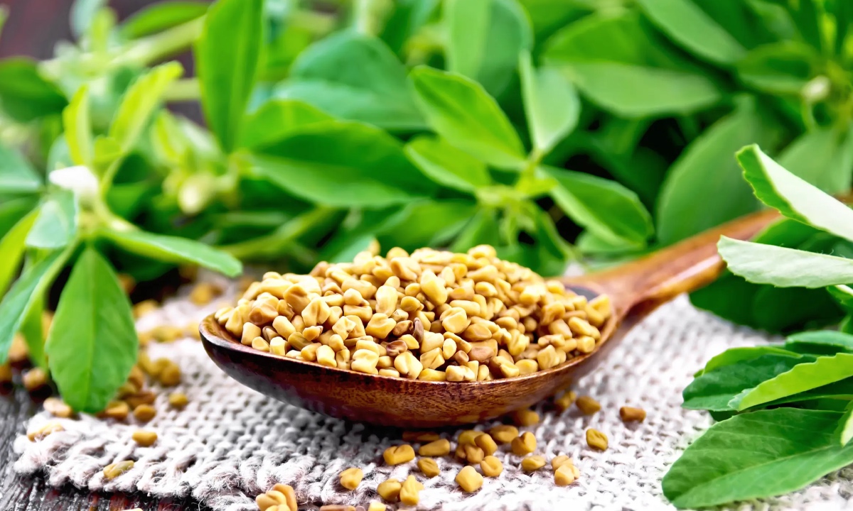 केसांसाठी मेथी