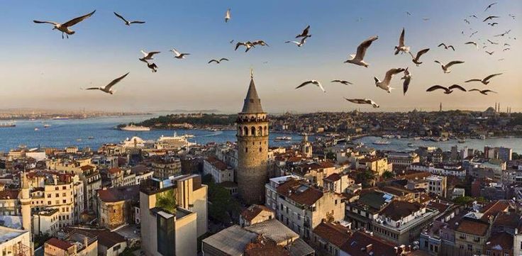 यात याचा समावेश असू शकतो: वरून घेतलेल्या या हवाई फोटोमध्ये सीगल्स शहराच्या क्षितिजावर आणि बंदरावर उडत आहेत