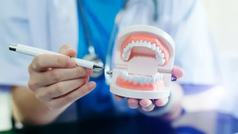 दात आणि तोंडाची काळजी