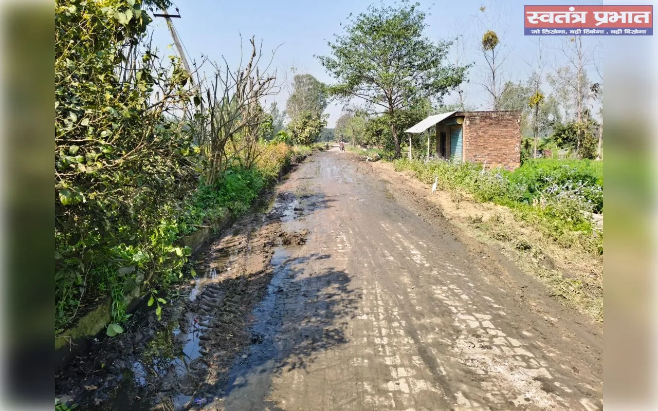 मलिहाबादच्या पत्रकाराचा जबरदस्त उपक्रम वाचा! भ्रष्ट अधिकारी झोपेतच राहिले, राहुल कुमार यांनीच नाले सफाई करून जनतेला दिलासा दिला – प्रशासनाला लाज वाटावी. 