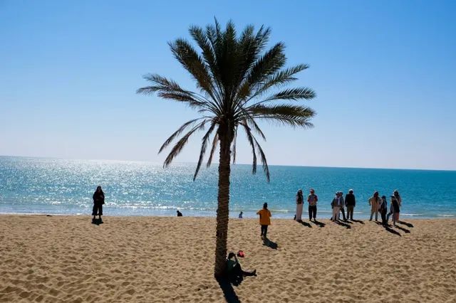 कथा पिन प्रतिमा