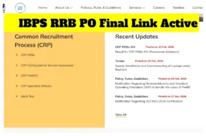 IBPS RRB PO अंतिम लिंक सक्रिय - शिक्षण श्रेणीतील ibps.in वर कट ऑफ मार्क्स आणि मुलाखतीचे निकाल तपासण्यासाठी थेट लिंक