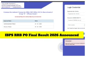 IBPS RRB PO अंतिम निकाल 2026 जाहीर - शैक्षणिक श्रेणीतील ibps.in वर ऑफिसर स्केल 1, 2 आणि 3 निकाल डाउनलोड करा