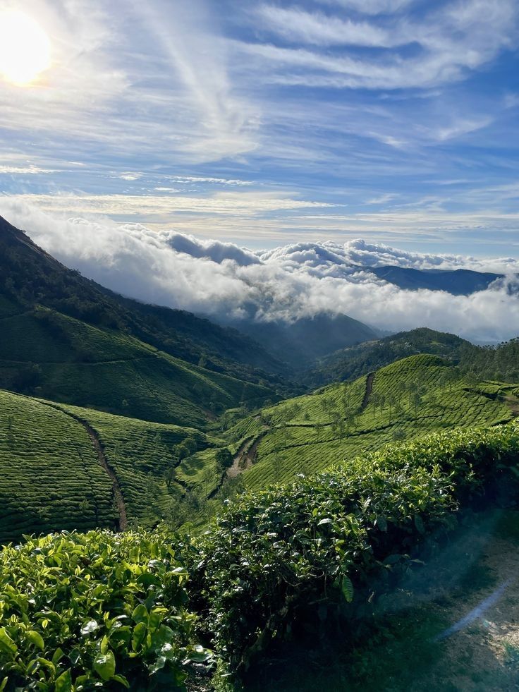 पूर्ण दृश्य