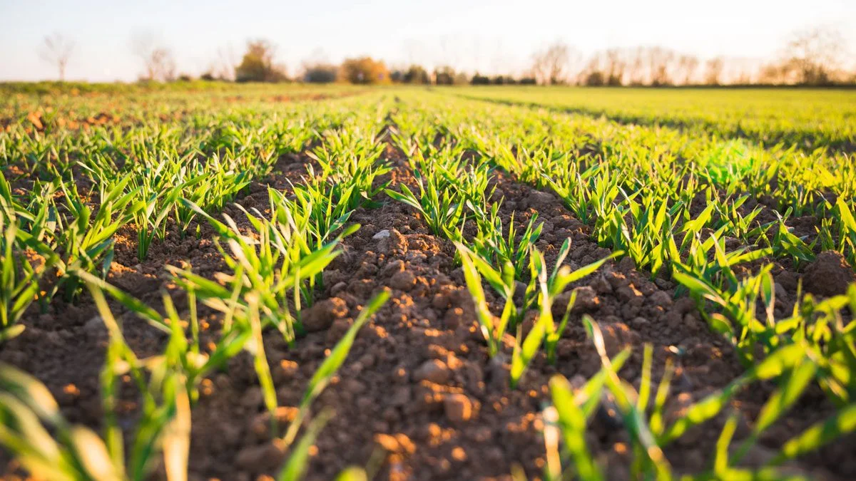 कृषी परिवर्तन