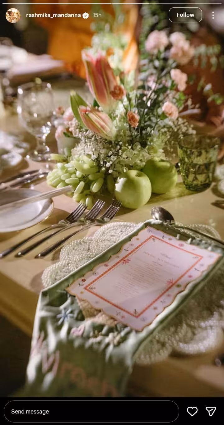 विजय-रश्मिकाच्या लग्नात जपानी खाद्यपदार्थ, पाहुण्यांमध्ये 'नो फोन' धोरण लागू