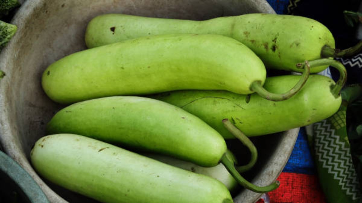 NDTV वर ताज्या आणि ताज्या बातम्या