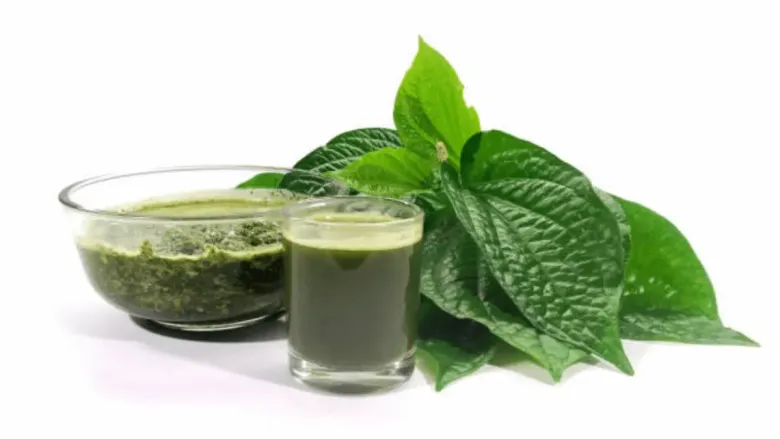 सुपारीचे असे सेवन करा