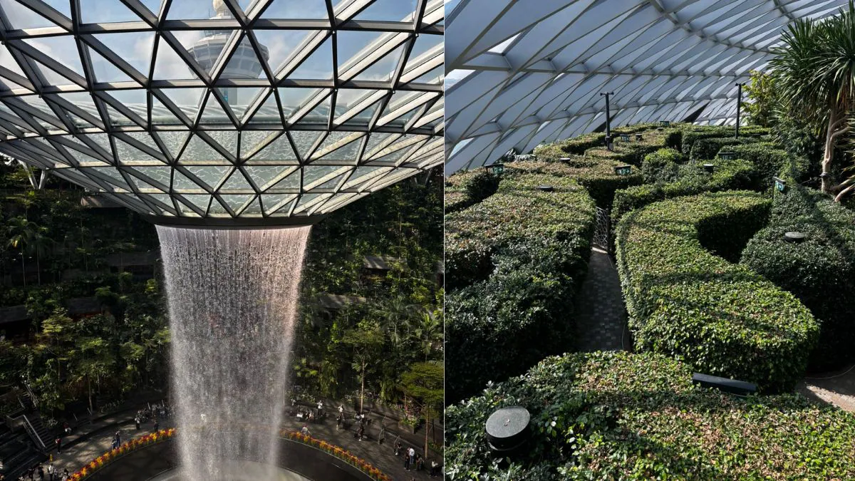 सिंगापूर चांगी विमानतळावर रेन व्होर्टेक्स आणि कॅनोपी पार्क. छायाचित्र : क्राती पुरवार