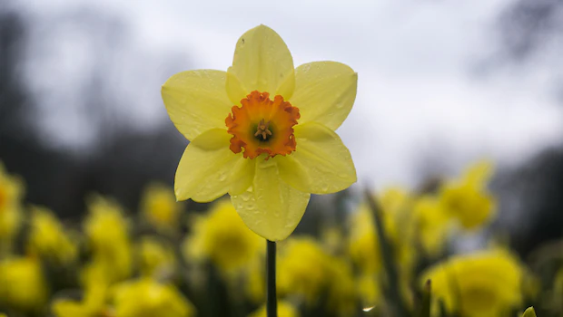 NDTV वर ताज्या आणि ताज्या बातम्या NDTV वर ताज्या आणि ताज्या बातम्या