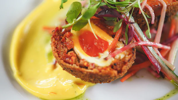 NDTV वर ताज्या आणि ताज्या बातम्या NDTV वर ताज्या आणि ताज्या बातम्या