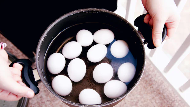 NDTV वर ताज्या आणि ताज्या बातम्या NDTV वर ताज्या आणि ताज्या बातम्या