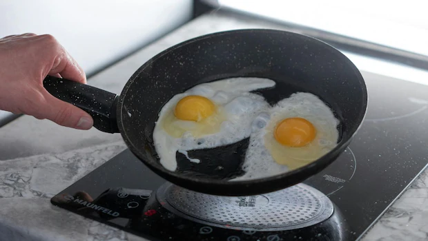 NDTV वर ताज्या आणि ताज्या बातम्या