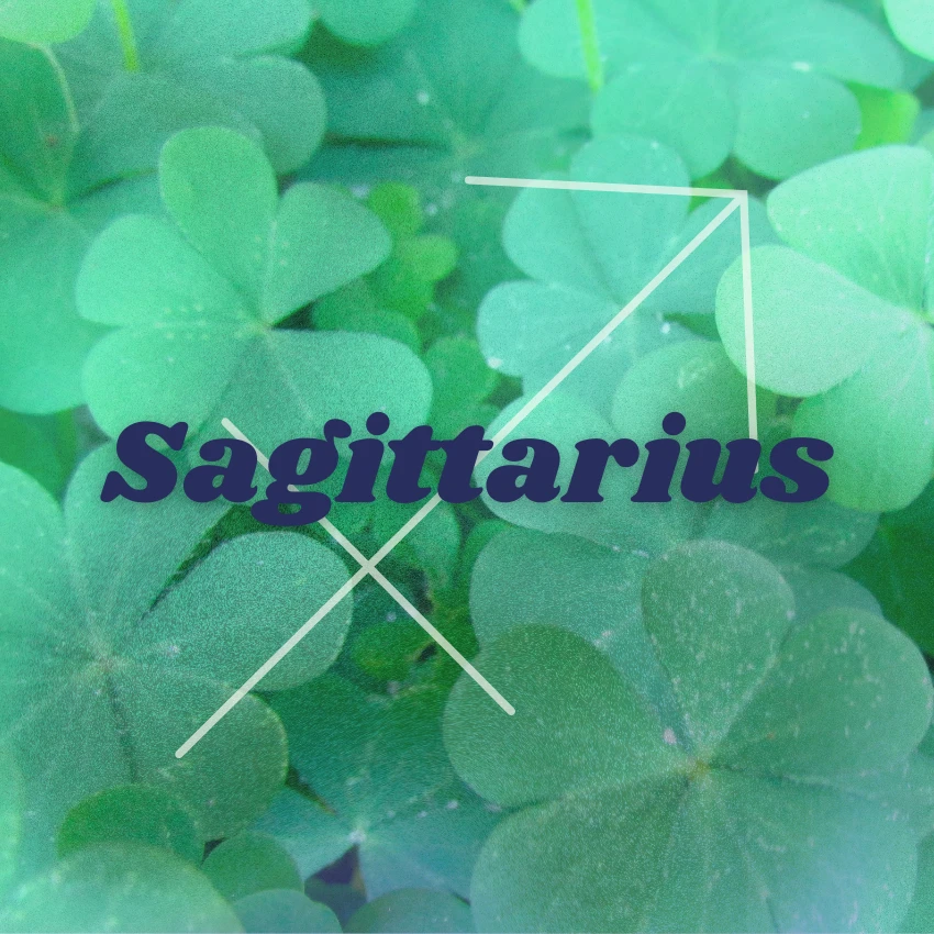 धनु राशीची चिन्हे विपुल भाग्य 20 मार्च 2026