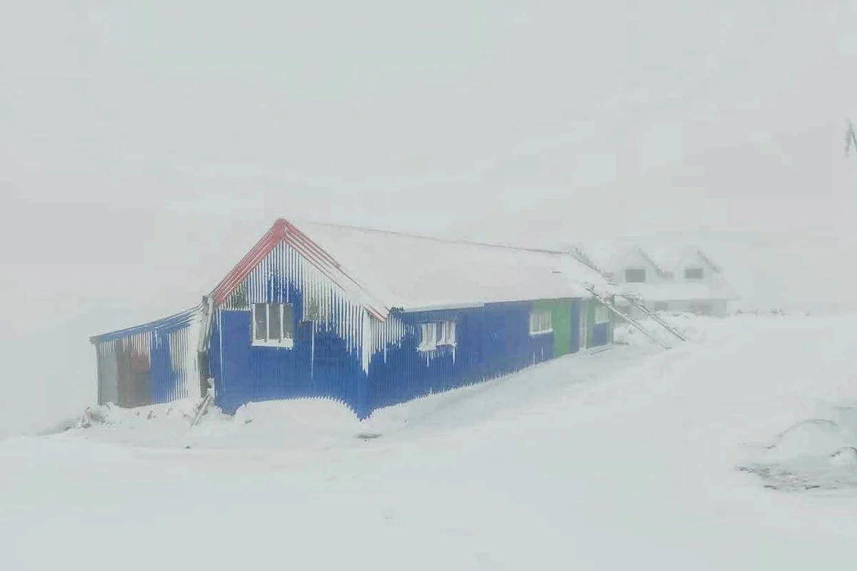 दार्जिलिंगमधील संदकफू येथे जोरदार बर्फवृष्टी