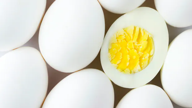 NDTV वर ताज्या आणि ताज्या बातम्या