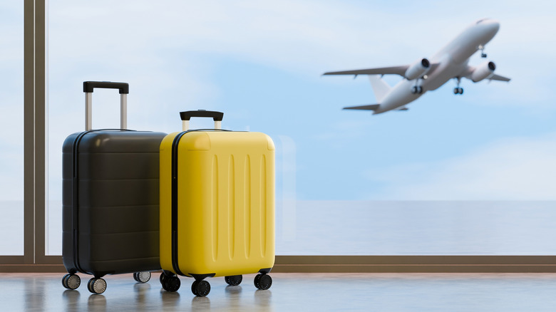 विमान उड्डाण घेत असताना विमानतळावरील सुटकेस.