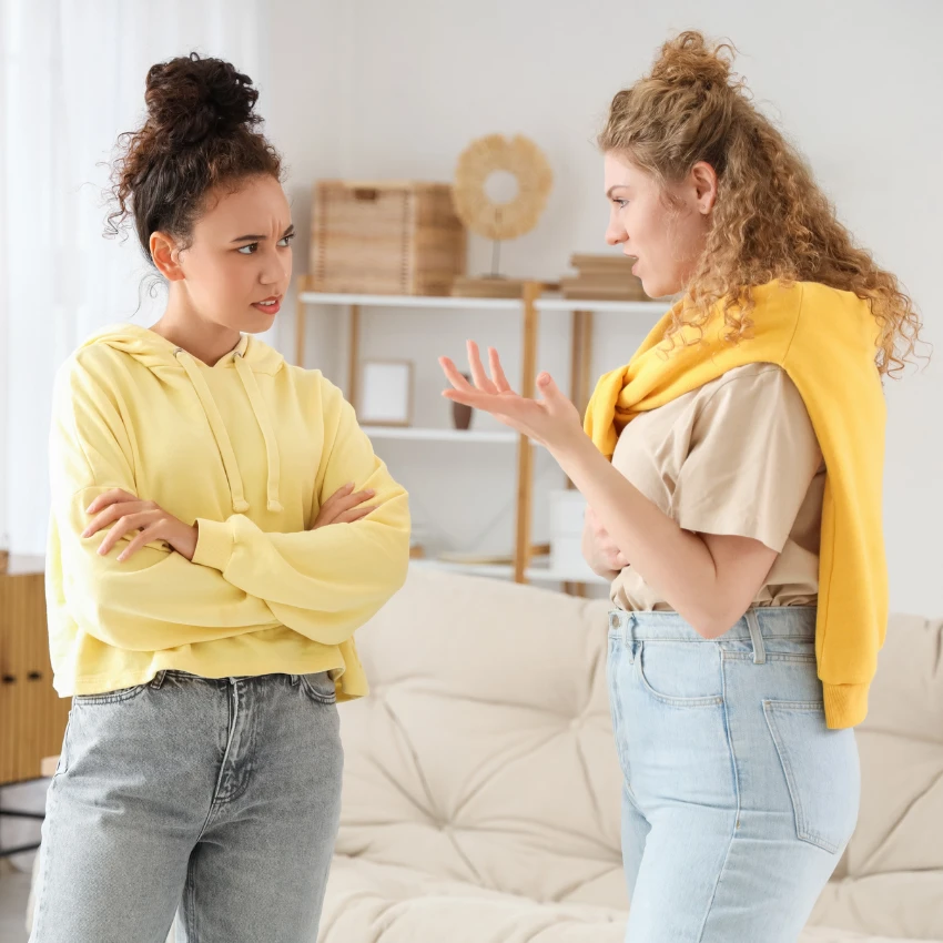 राजकारणावर वाद घालणारे मित्र