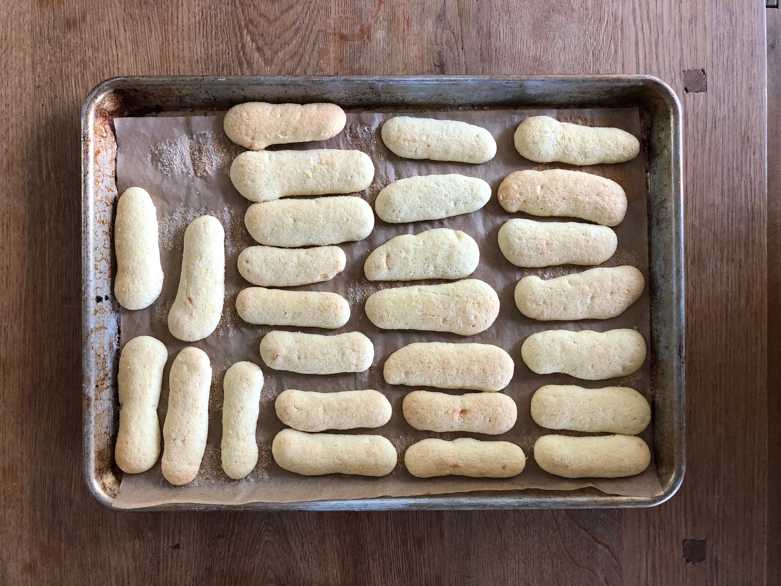 NDTV वर ताज्या आणि ताज्या बातम्या