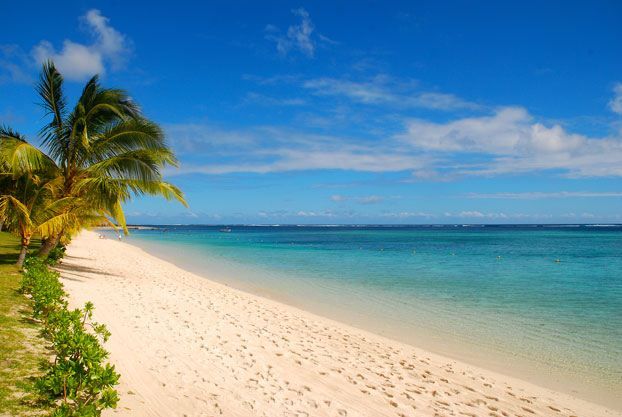 यात हे असू शकते: पाम ट्री आणि स्वच्छ निळे पाणी असलेला समुद्रकिनारा